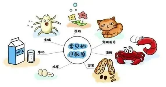图片13.jpg