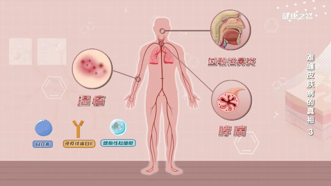 图片17.jpg
