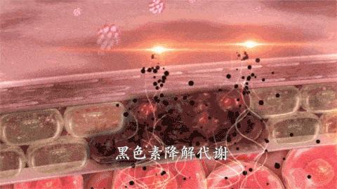 图片33.jpg
